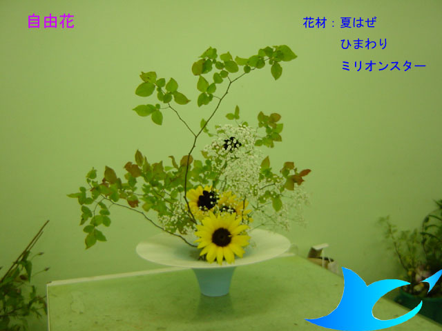 華道の広場-池坊にかたよったいけばなの情報ならここ!- 華道の広場-池坊にかたよったいけばなの情報ならここ!-